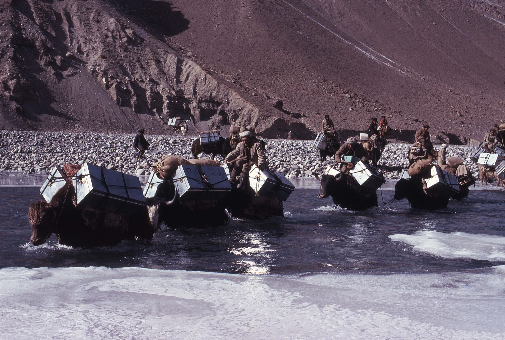 Winter Wakhan River Crossing with Yaks.jpg